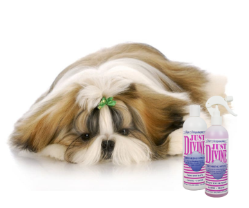 Shih-tzu - Objem - 240 ml